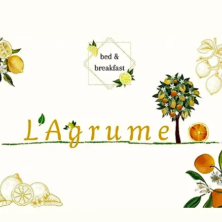 L'agrumeto 3* 下诺切拉