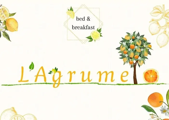 住宿加早餐酒店 L'agrumeto 下诺切拉